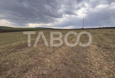 Teren Construcții intravilan de 24000 mp, în Șura Mare - 2