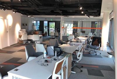 Birouri de inchiriat in Orhideea Towers - 510 mp - 11