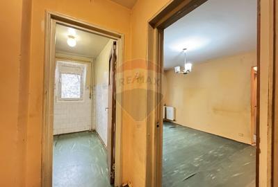 Apartament 2 camere de vanzare - Podul Giurgiului - 4