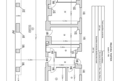 Satu Mare, spatiu comercial de inchiriat 248 mp - 1