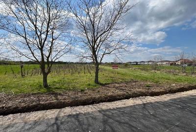 Teren de 7000 mp, în Brănești - 2