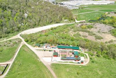 Teren Construcții intravilan de 5500 mp, în Cristian - 21