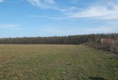 Teren în Găneasa - 7