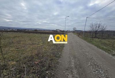 Teren Intravilan 10.000MP Zona Partos Teren Intravilan 10.000MP Zona Partos - 3