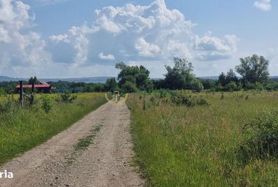 Spațiu comercial, în Central