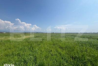 Teren de 10000 mp, în Drăgotești - 1