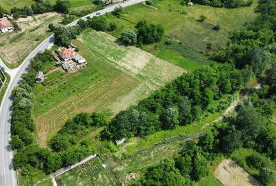 Teren Construcții intravilan de 10176 mp, în Mihăești - 9