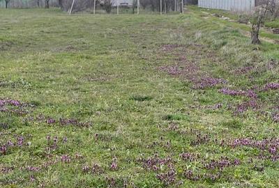 Teren de 1400 mp, în Ghercești - 4