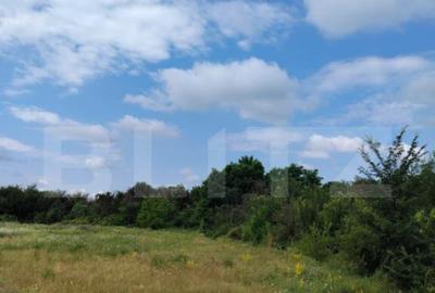 Teren intravilan, de vanzare. 600 mp, zona Priseaca - 3