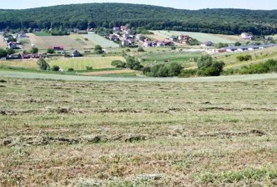 Teren de 1333 mp, în Livezeni - 3