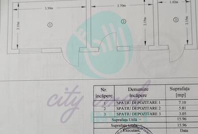 Casă individuală cu 9 camere cu Canalizare în Parcul Carol - 14