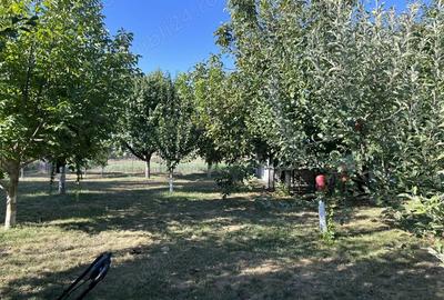 Casa de vanzare in loc.Calarasii-Vechi,jud Calarasi. - 10