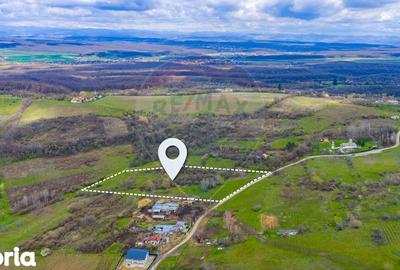 Teren de 33500 mp, în Bucov - 8