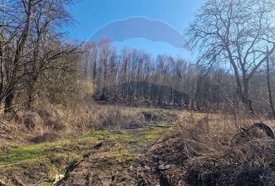 Teren Construcții intravilan de 4985 mp, în Sascut - 14