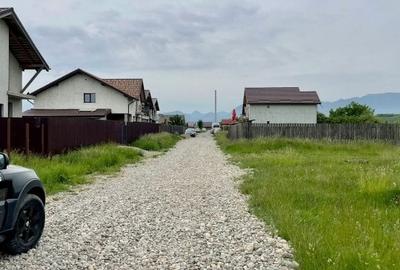 Lot de casa str.Soimului 457mp ! - 3