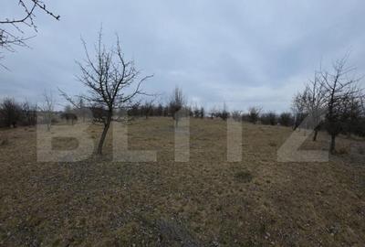 Teren extravilan de vanzare, 900 mp, Bistrita - 4