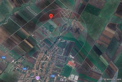 Teren agricol extravilan de 30000 mp, în Hălchiu - 5
