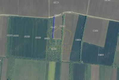 Teren de 10750 mp, în Vest - 2