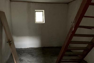 Casă individuală cu 4 camere cu Teren 2518 Mp în Otelec - 11