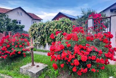 Vila cu Teren Generos si Livada La Sos. Principala Targovi? - 5