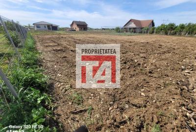 Spațiu comercial, în Cătălina - 6