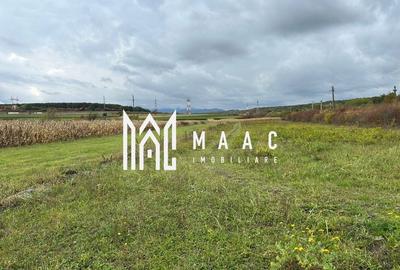 Teren extravilan | 3700 mp | Deschidere la DN | Intrare Vestem – Sibiu - 6