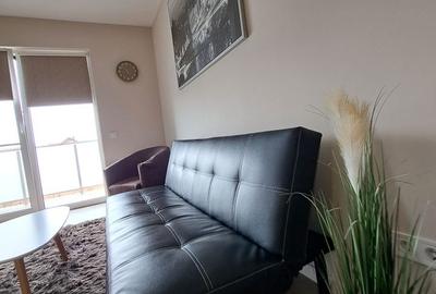Apartament cu 2 camere în Valea Borcutului - 12