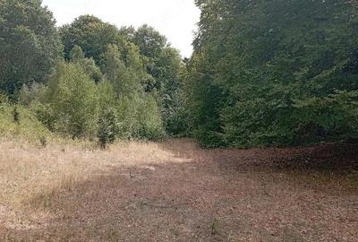 Teren de 3500 mp, în Valea Babei - 2