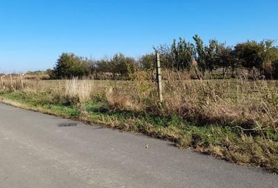 Teren de 4000 mp, în Cărpiniș - 6