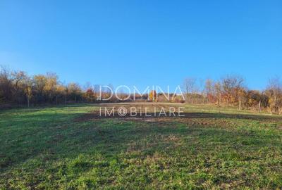 Teren 11.939 mp Balane?ti ideal reziden?ial/comercia - 2