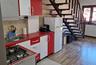 Apartament cu 2 camere decomandat în Poiana Țapului - 6