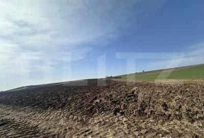 Teren în Sântuhalm - 2