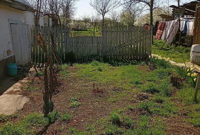 Casă cu 4 camere cu Teren 3210 Mp în Constantinești - 3