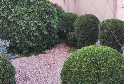 Casă cu 3 camere în Dănești - 4