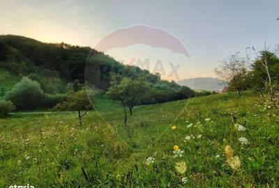 Spațiu comercial, în Bârsana - 2