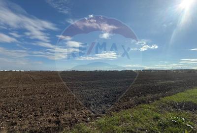 VANZARE Teren intravilan industrial BUFTEA/Strada Milano/... - 12