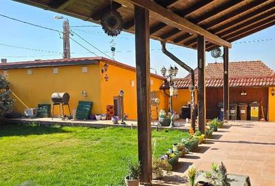 Casa de vanzare, dealuri, zona str.Beldiceanu - 17
