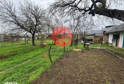 Casă cu 3 camere cu Teren 2100 Mp în Valea Nucarilor - 7