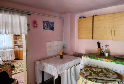 Casa  2 camere, anexa, garaj, teren 464 mp cartier Florilor! - 4