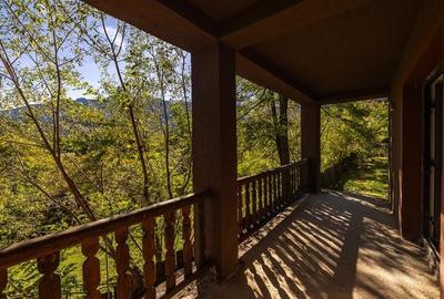 FILM! Edificu remarcabil, deschidere oportunitate de customizare - 18