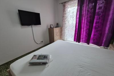 La IRIS-Aradului-la 10 minute de Universitatea Veterinara 6 min. spital Premier, La IRIS-Aradului-la 10 minute de Universitatea Veterinara 6 min. spital Premier, - 9