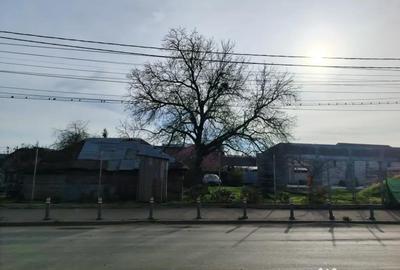 Teren de 493 mp, în Viile Noi - 3