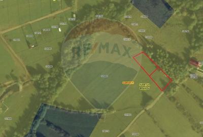 Comision 0% | 2 parcele x 650 mp | Priveliste Bucegi,Magura,P Craiului - 1