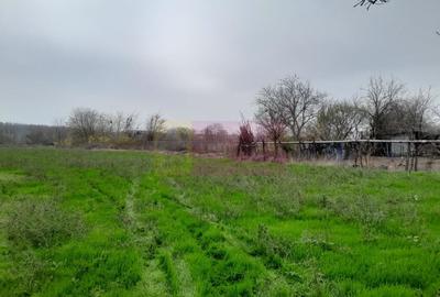 BARCANESTI -  casa +curte+teren 16k mp - 26