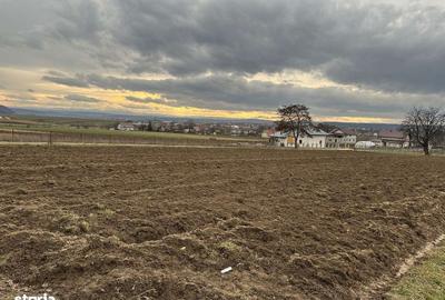 Spațiu comercial, în Mitocu Dragomirnei - 7