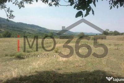 Teren de 150000 mp, în Mihăești - 1