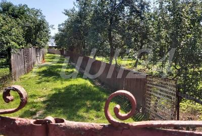 Casă în Mavrodolu - 7