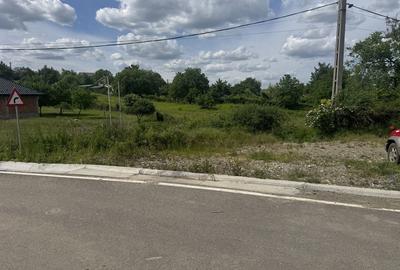 Spațiu comercial, în Goruni - 4