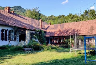 Casă individuală cu 6 camere cu Teren 9753 Mp în Arefu - 20