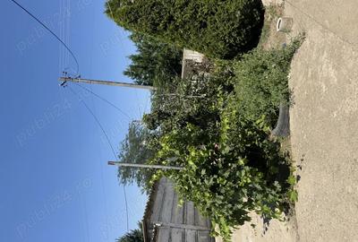 Casa de vanzare in sat Pietreni , jud Constan?a - 9